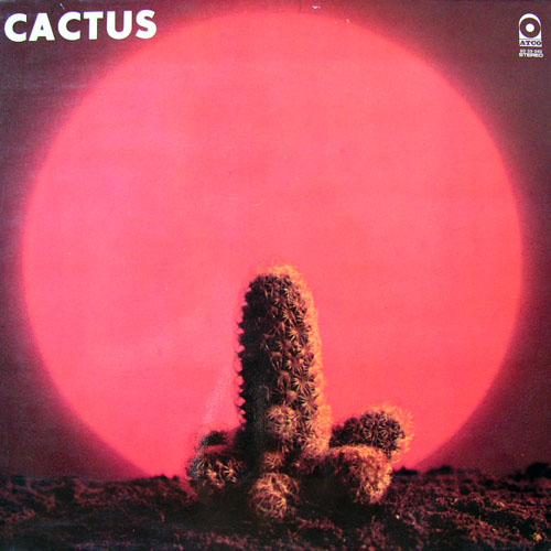 Фото Cactus