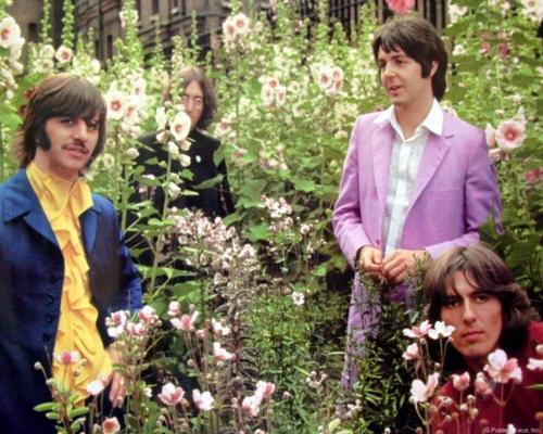 Фото Beatles