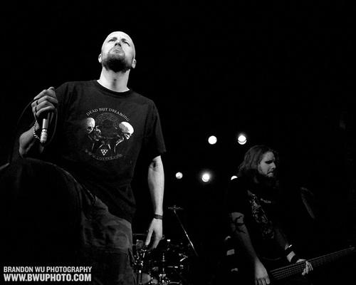 Фото Meshuggah